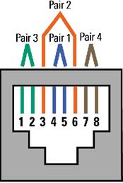 T568A